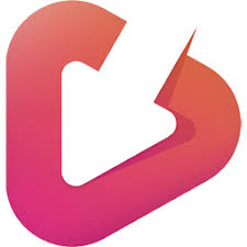 Auslogics Video Grabber 1.0.0.8 