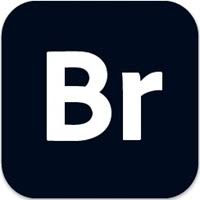 Adobe Bridge 2024 (v14.1.2.300) Adobe Bridge 2024 (v14.1.2.300)