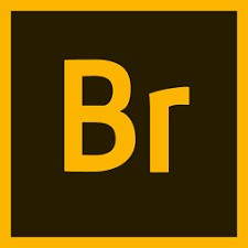 Adobe Bridge 2024