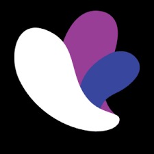 Incogniton Browser 2025