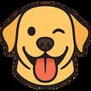 Proxy Bridge 2025 v2.0.1