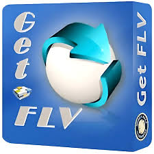 Vdigger GetFLV v31.2408.11